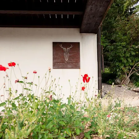 Hirsch-lounge * Hoechenschwand