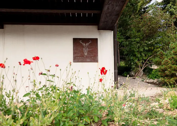 Hirsch-lounge * Höchenschwand